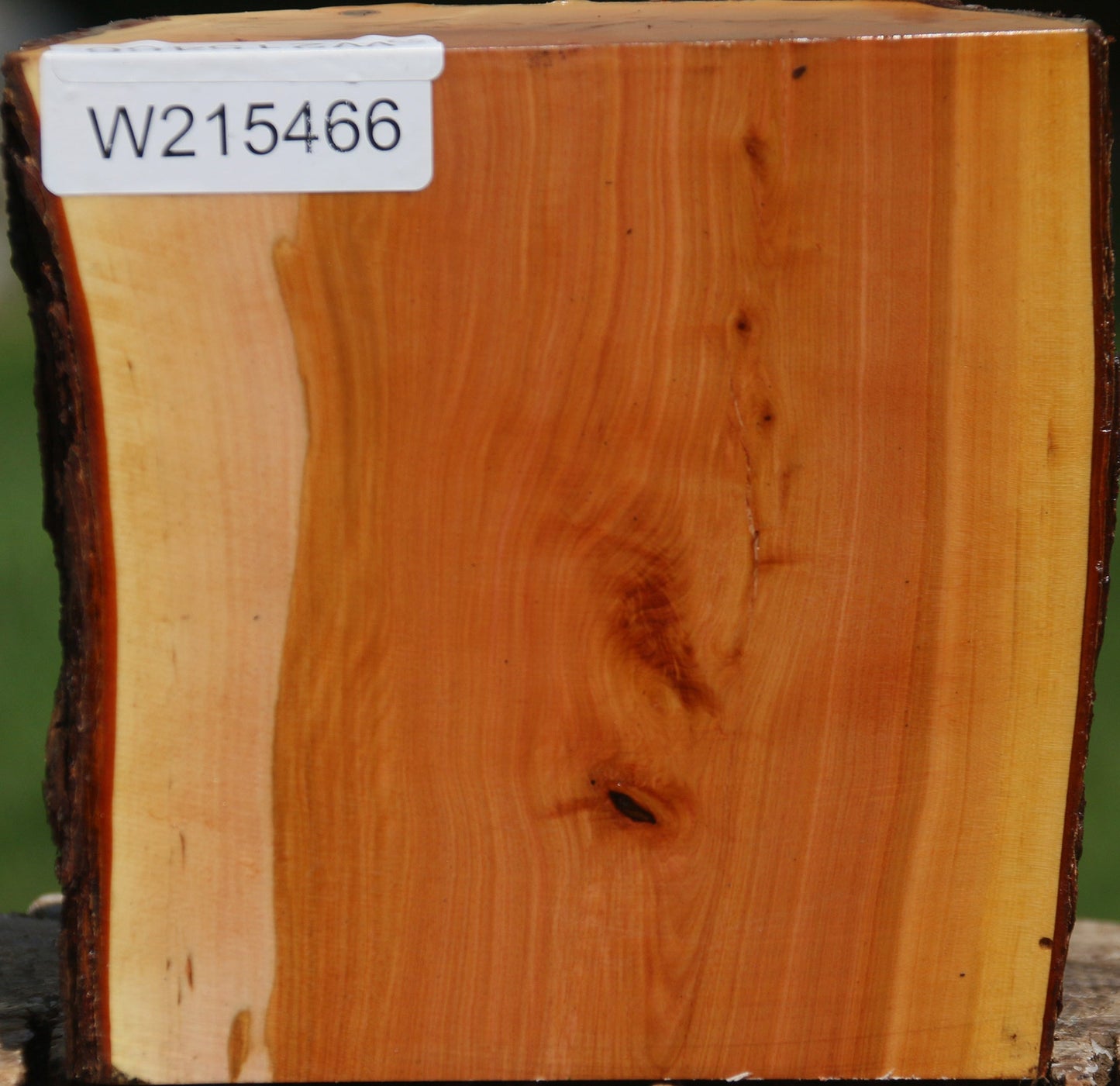 Oregon Ironwood Half Log