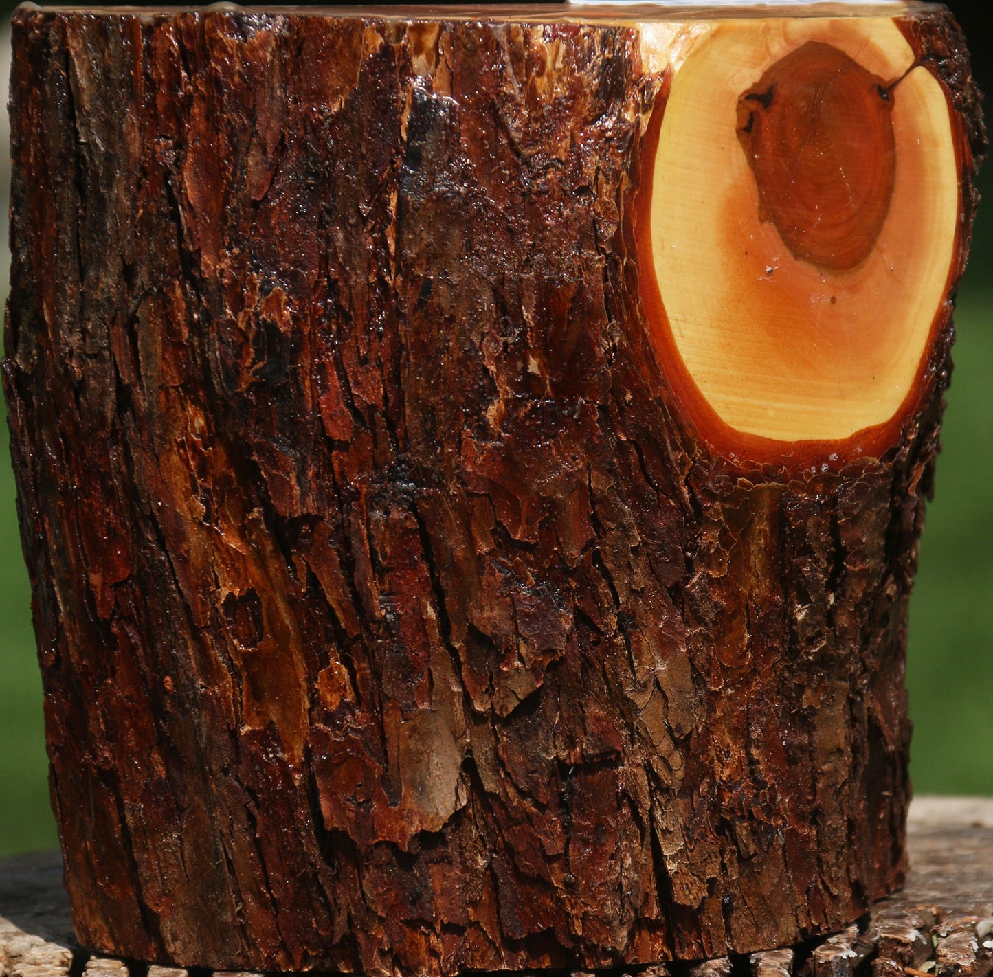 Oregon Ironwood Half Log