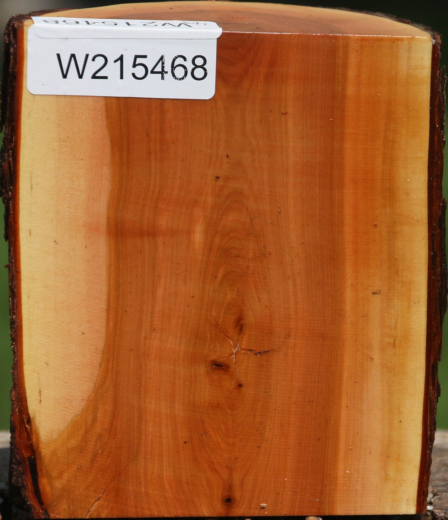 Oregon Ironwood Half Log