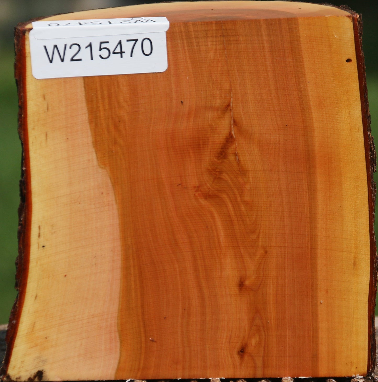 Oregon Ironwood Half Log