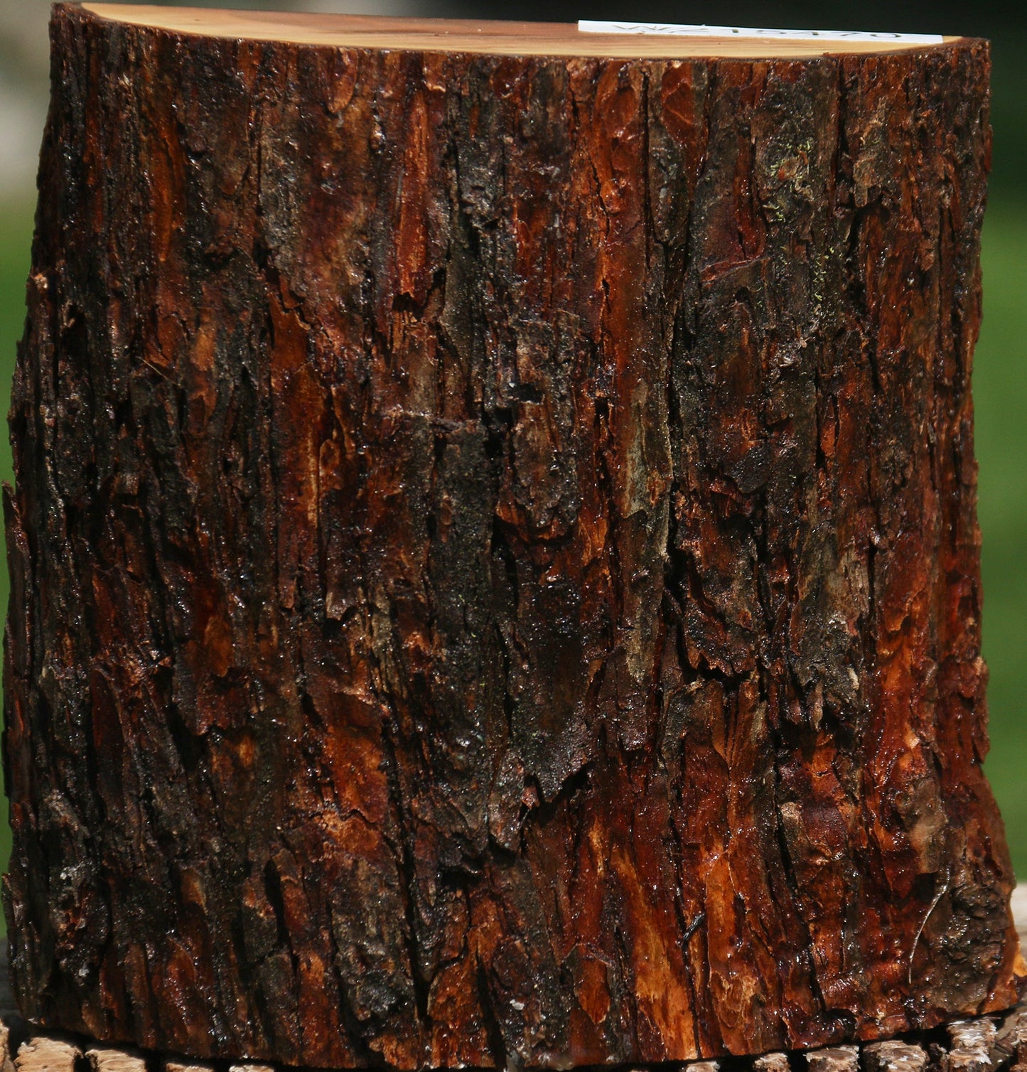 Oregon Ironwood Half Log