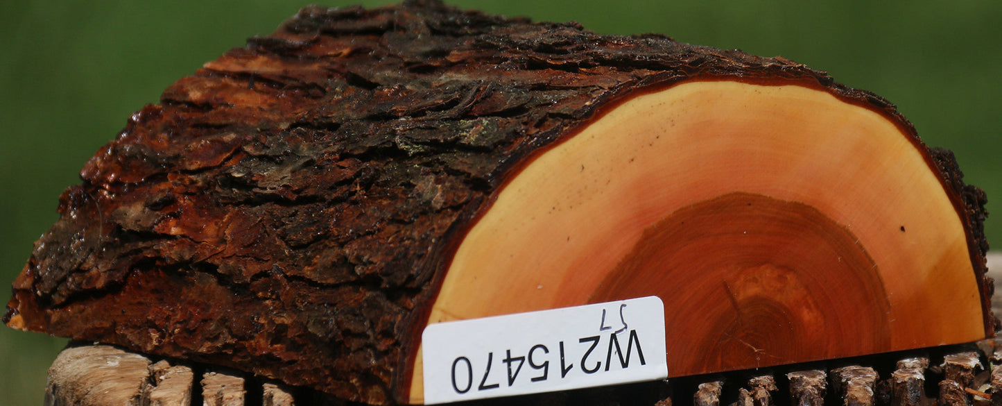 Oregon Ironwood Half Log