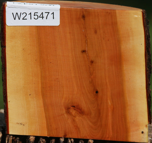 Oregon Ironwood Half Log