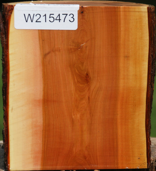 Oregon Ironwood Half Log