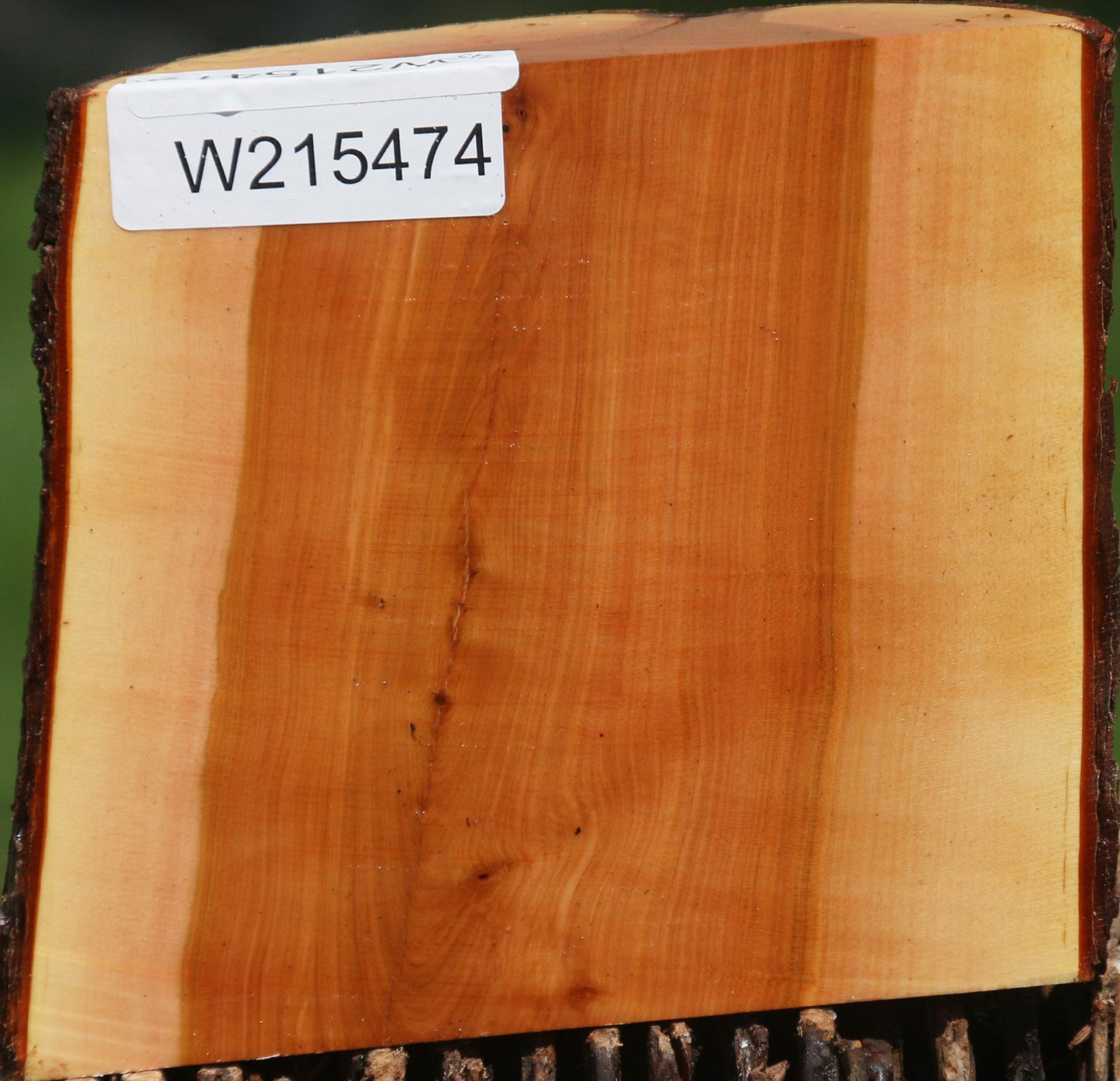 Oregon Ironwood Half Log