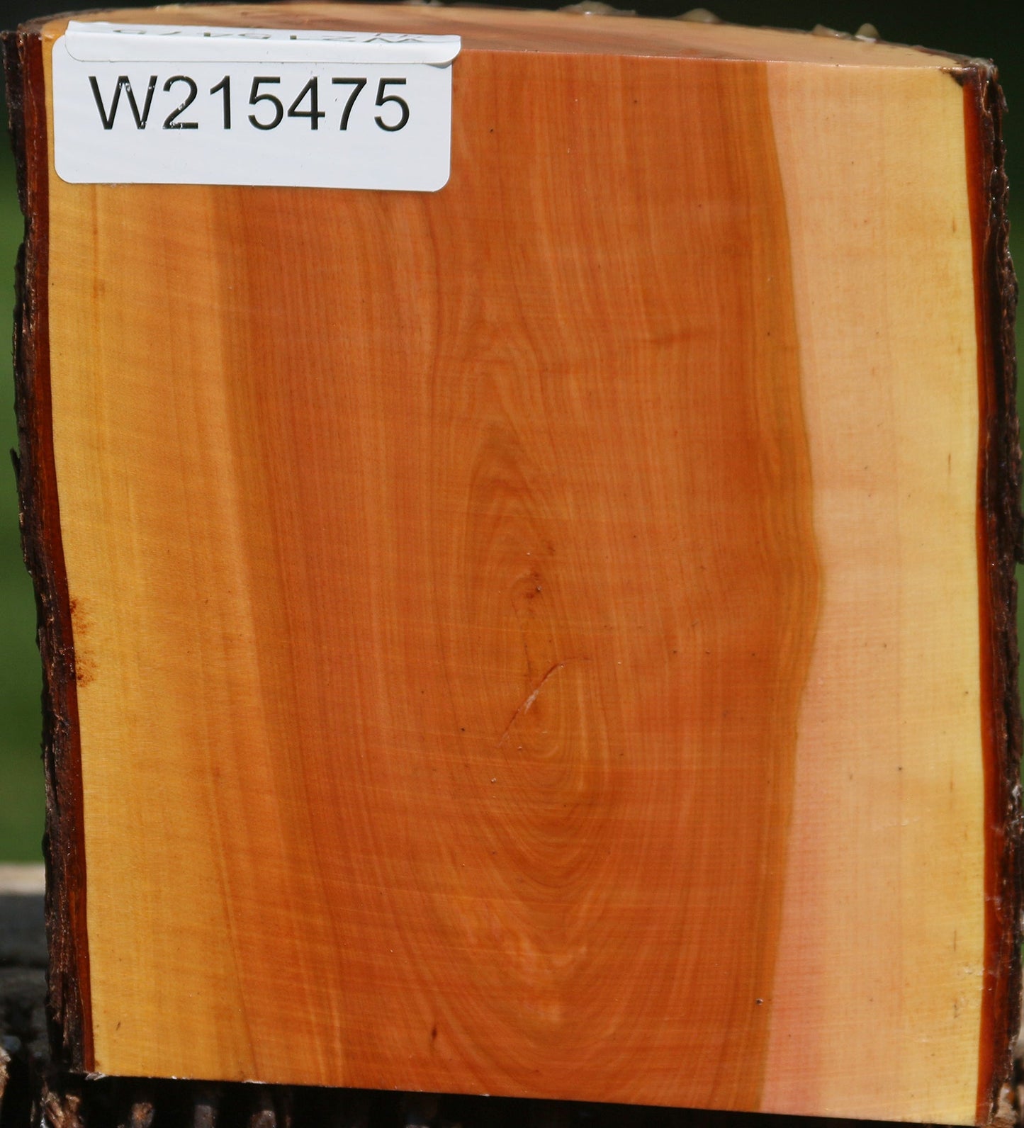 Oregon Ironwood Half Log