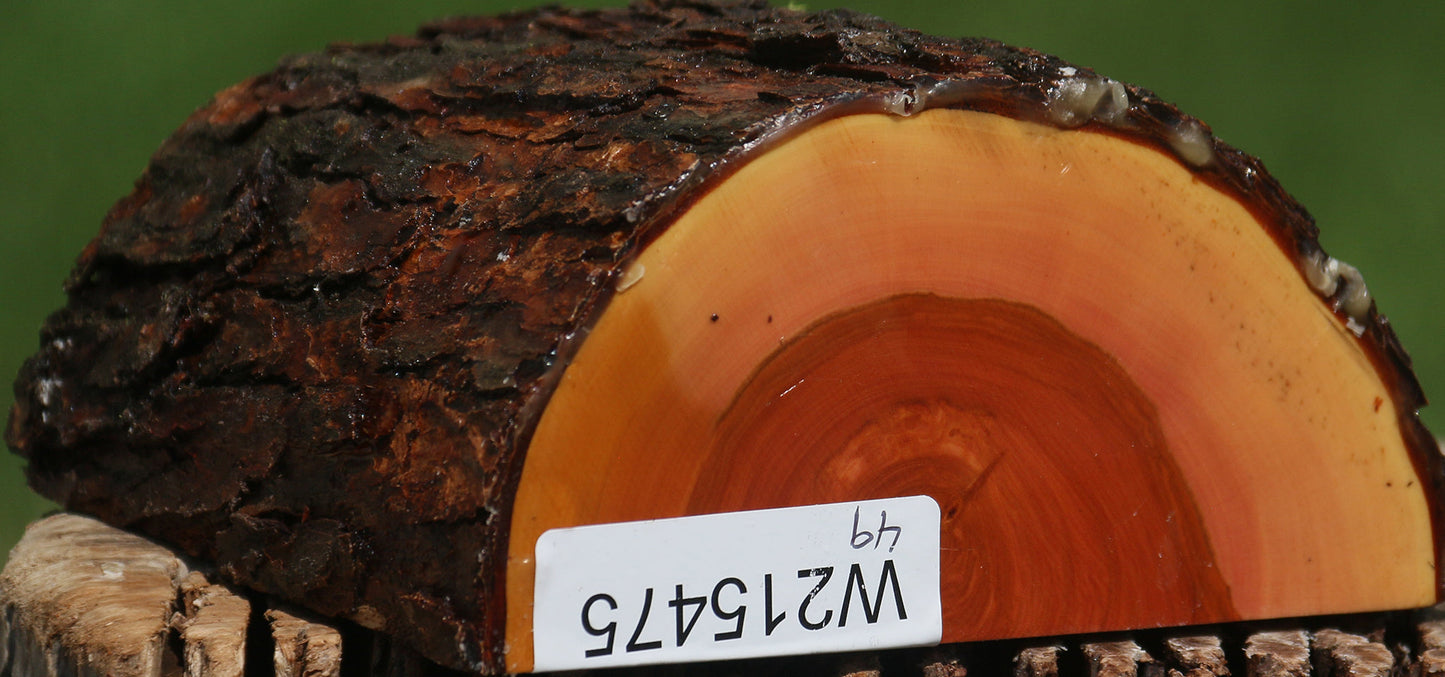 Oregon Ironwood Half Log