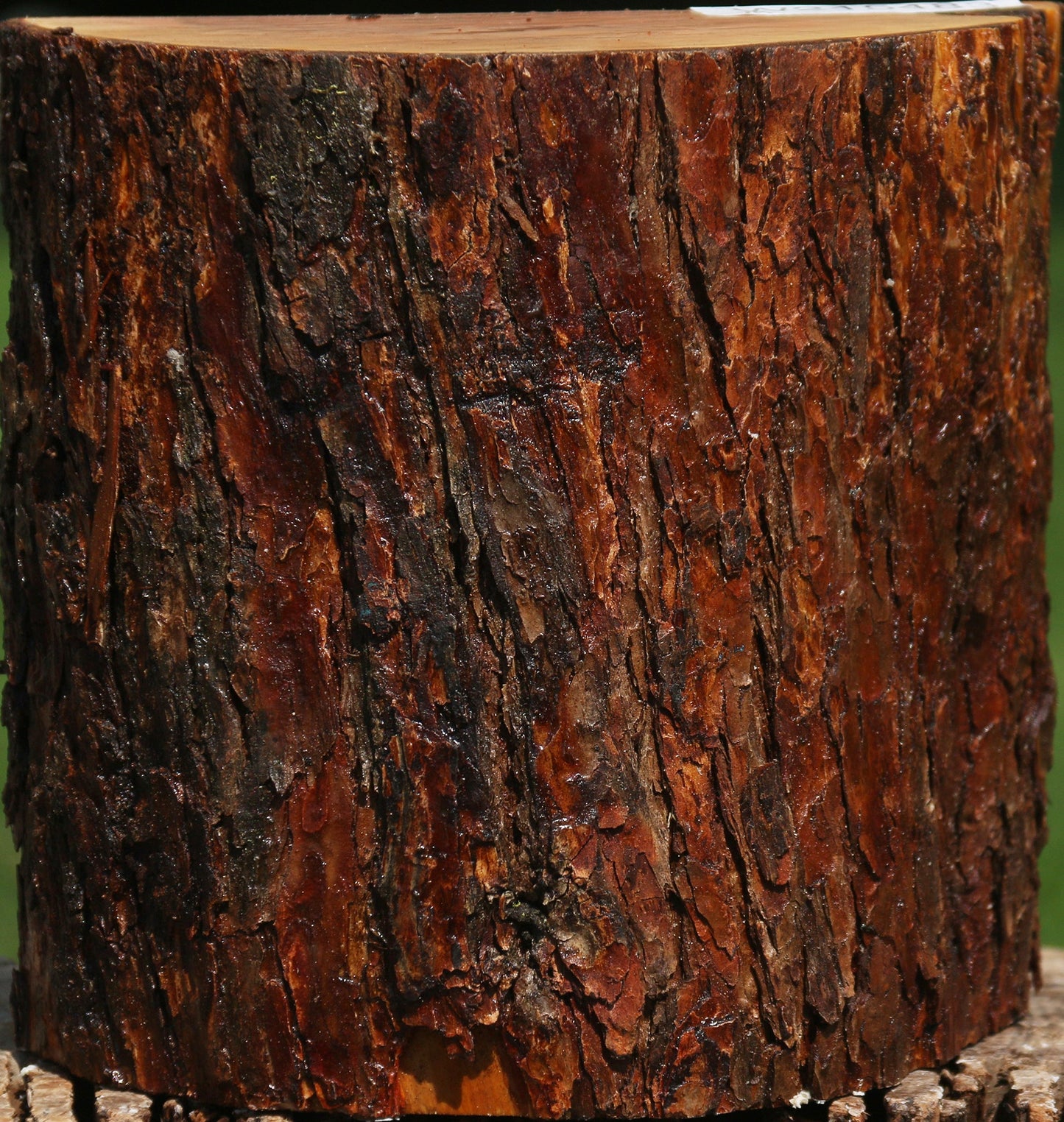 Oregon Ironwood Half Log