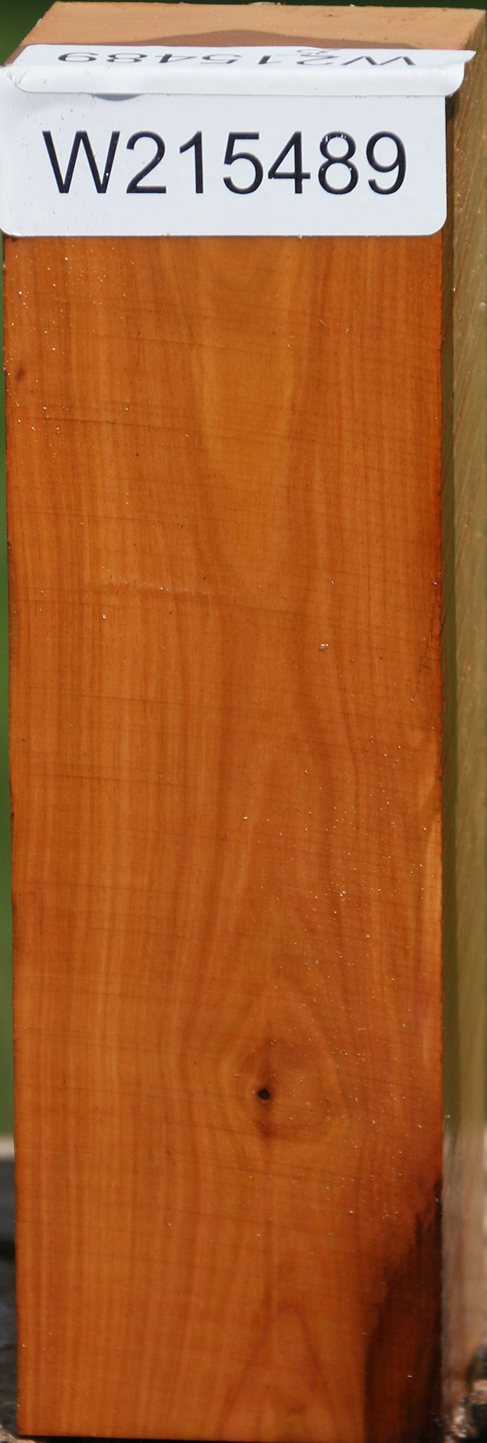 Oregon Ironwood Turning Square