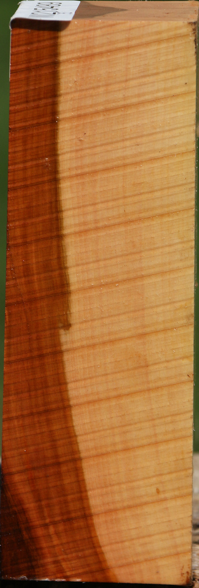 Oregon Ironwood Turning Square