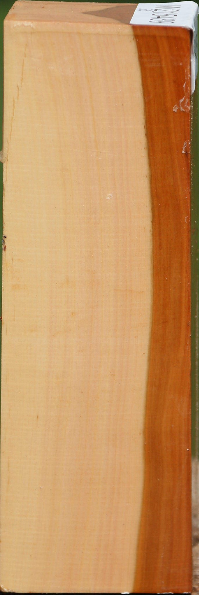 Oregon Ironwood Turning Square