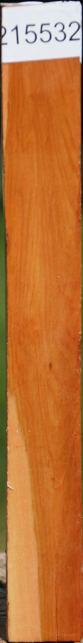 Oregon Ironwood Turning Square