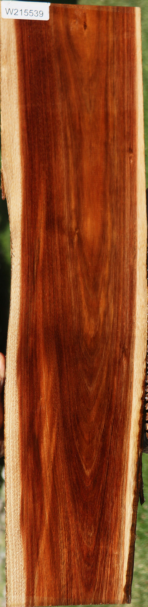 Tasmanian Blackwood Live Edge Lumber