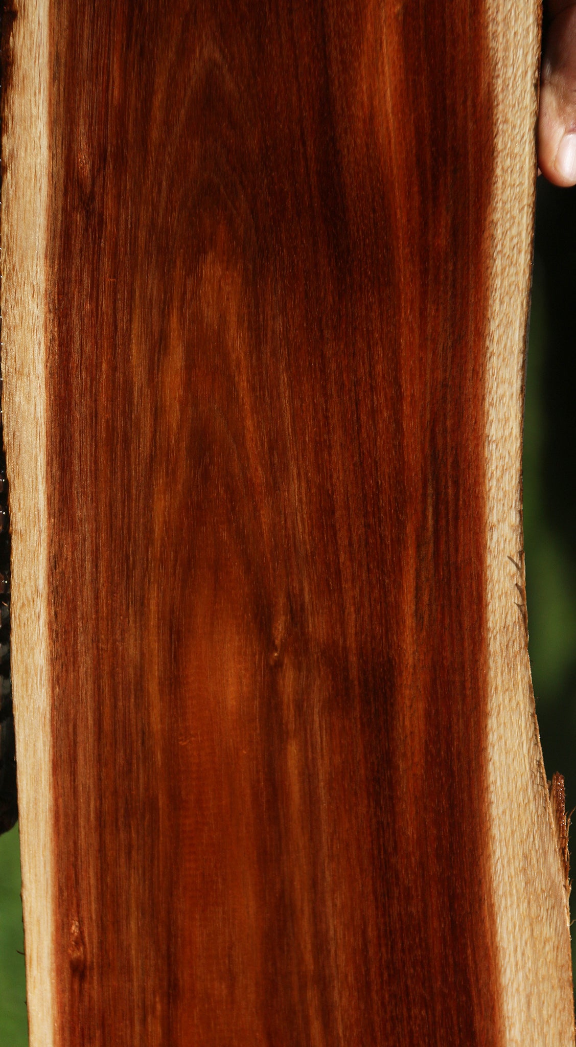 Tasmanian Blackwood Live Edge Lumber