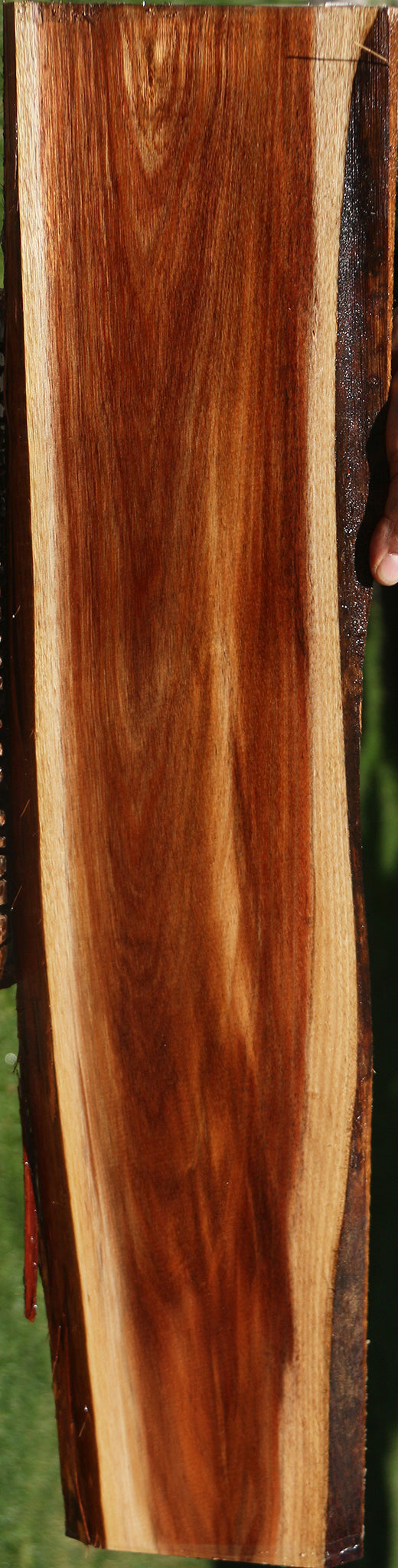 Tasmanian Blackwood Live Edge Lumber