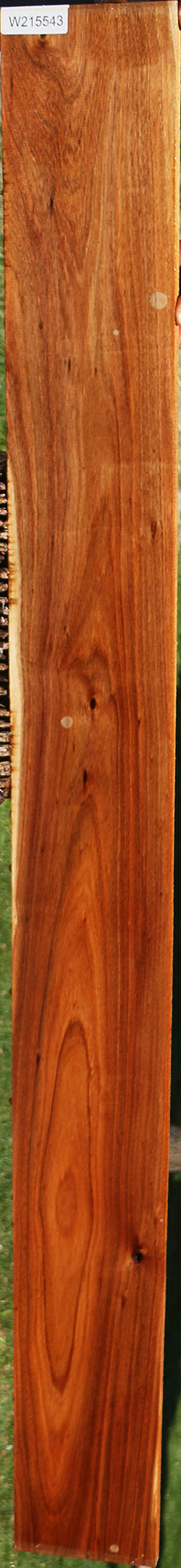 Tasmanian Blackwood Lumber