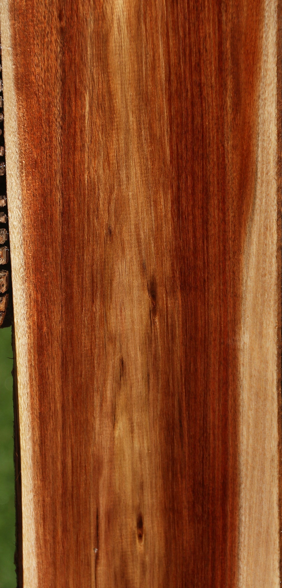 Tasmanian Blackwood Lumber