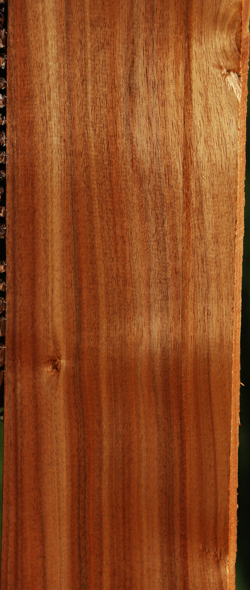 Tasmanian Blackwood Lumber