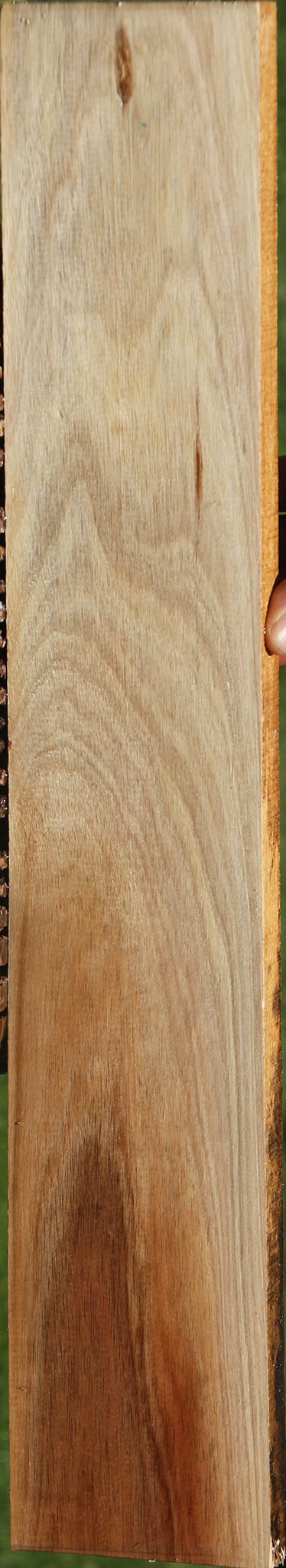 Tasmanian Blackwood Lumber