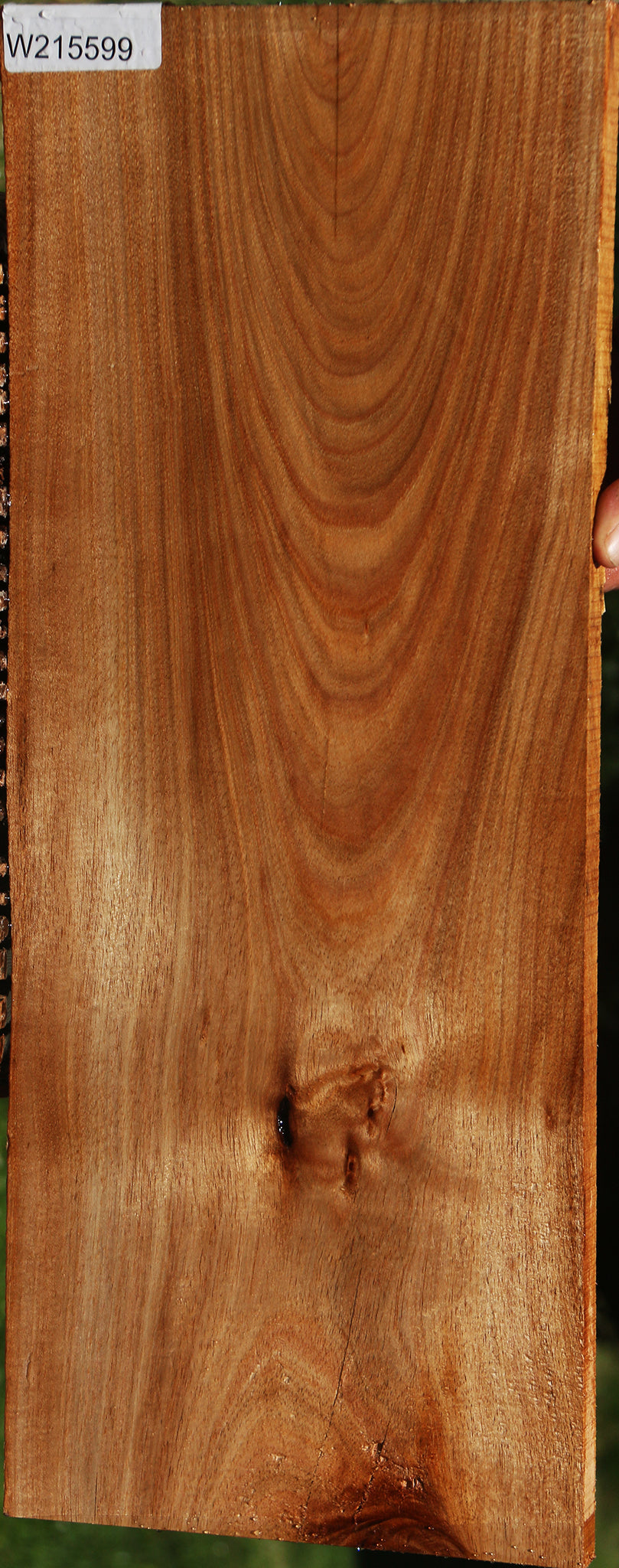 Tasmanian Blackwood Lumber