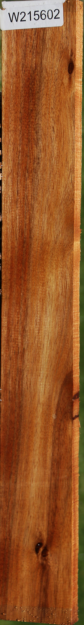 Tasmanian Blackwood Lumber