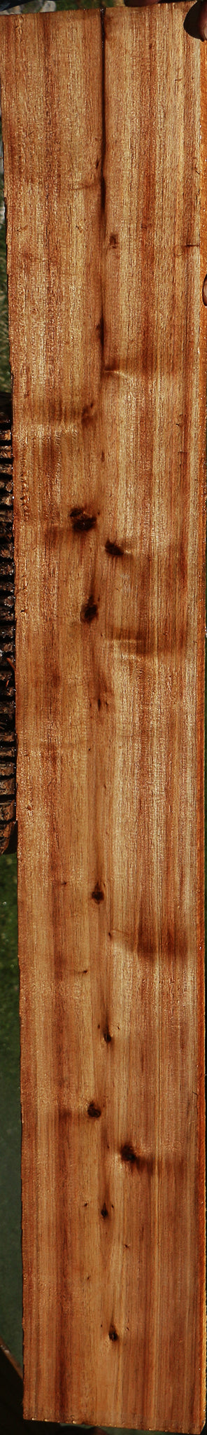 Tasmanian Blackwood Lumber