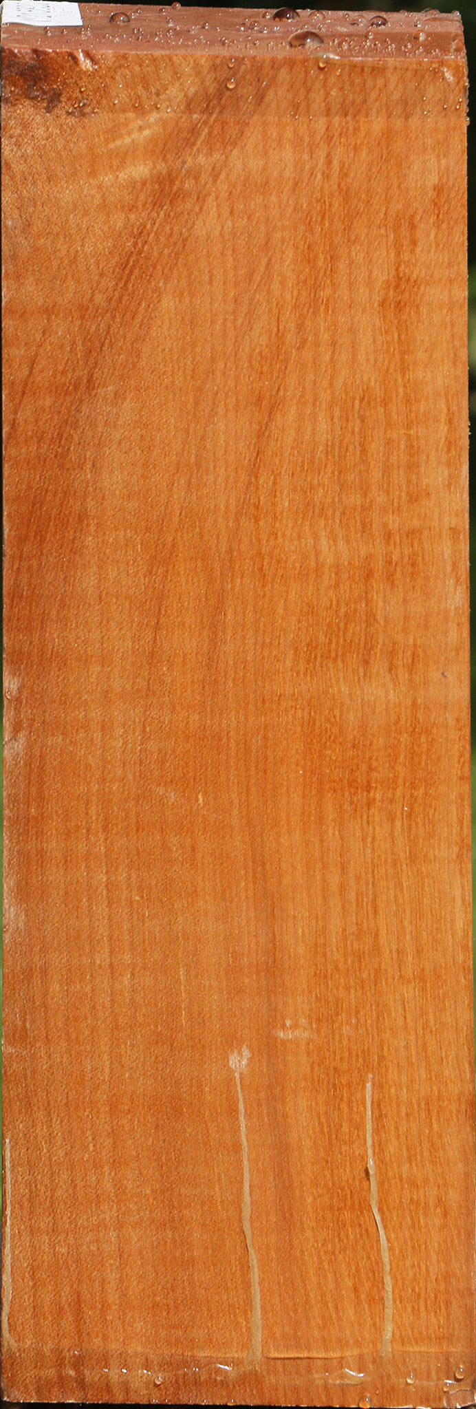 Maple Vessel Blank (Aged 18 Years)