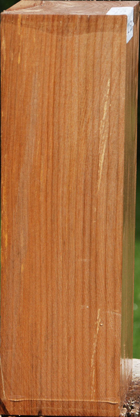 Maple Turning Blank (Aged 18 Years)