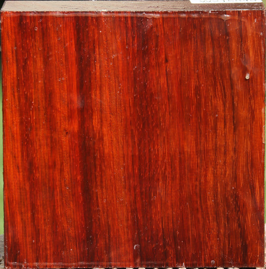 Padauk Bowl Blank