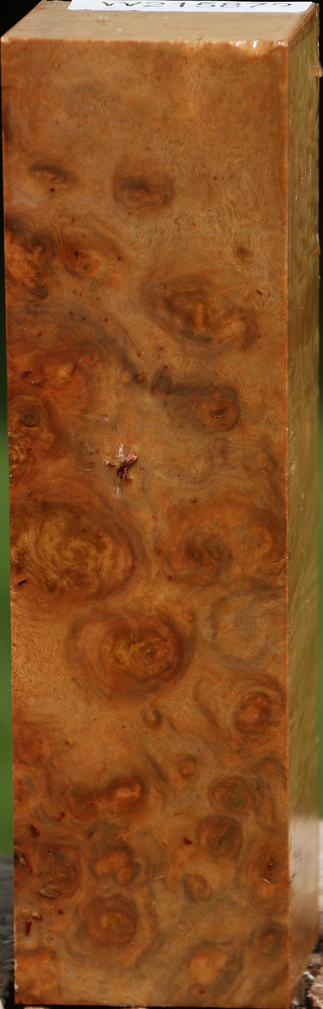 Eucalyptus Burl Peppermill