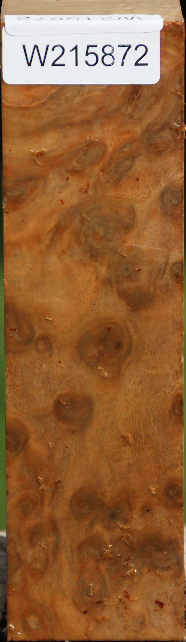 Eucalyptus Burl Peppermill