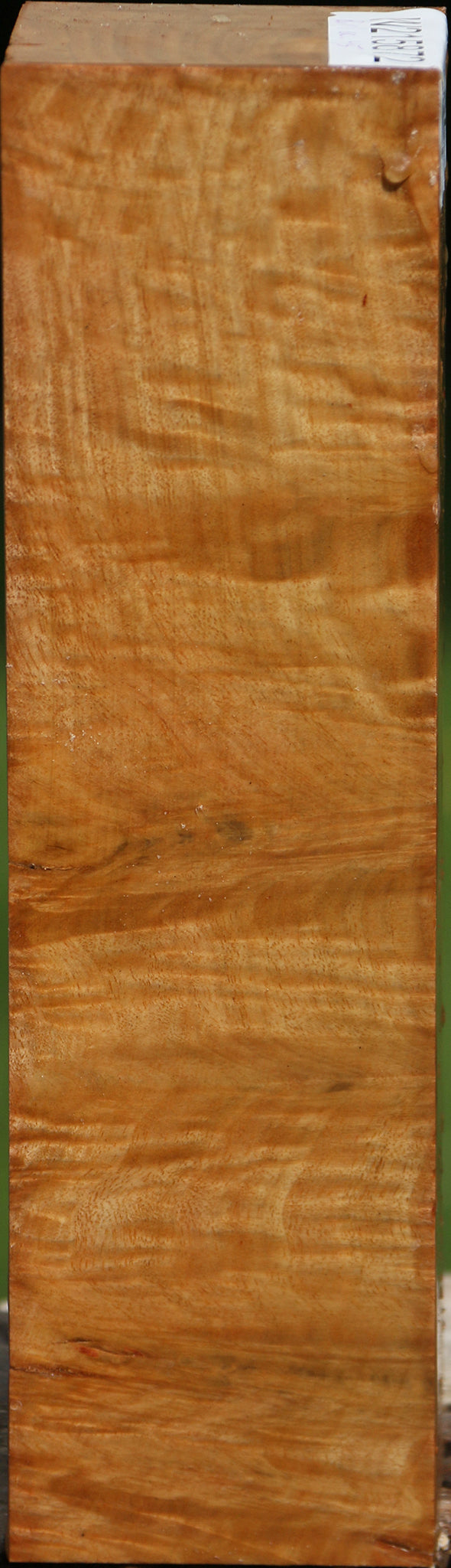 Eucalyptus Burl Peppermill