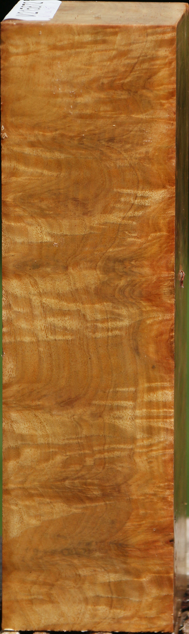 Eucalyptus Burl Peppermill