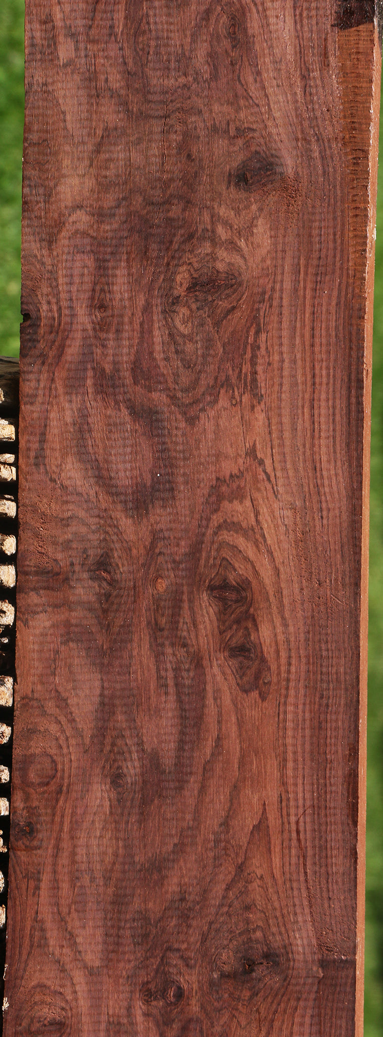 Exhibition Honduras Rosewood Lumber