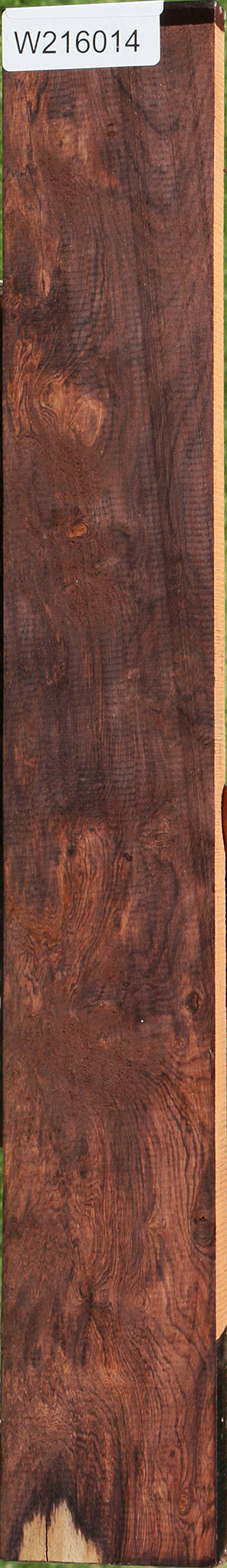 Honduras Rosewood Burl Lumber