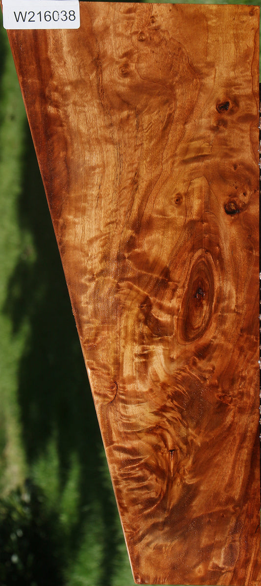 California Cottonwood Burl Micro Lumber