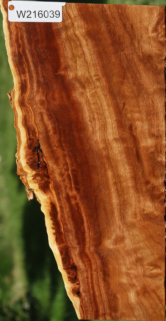 California Cottonwood Burl Live Edge Lumber