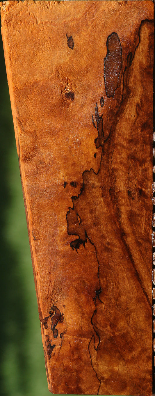 California Cottonwood Burl Lumber