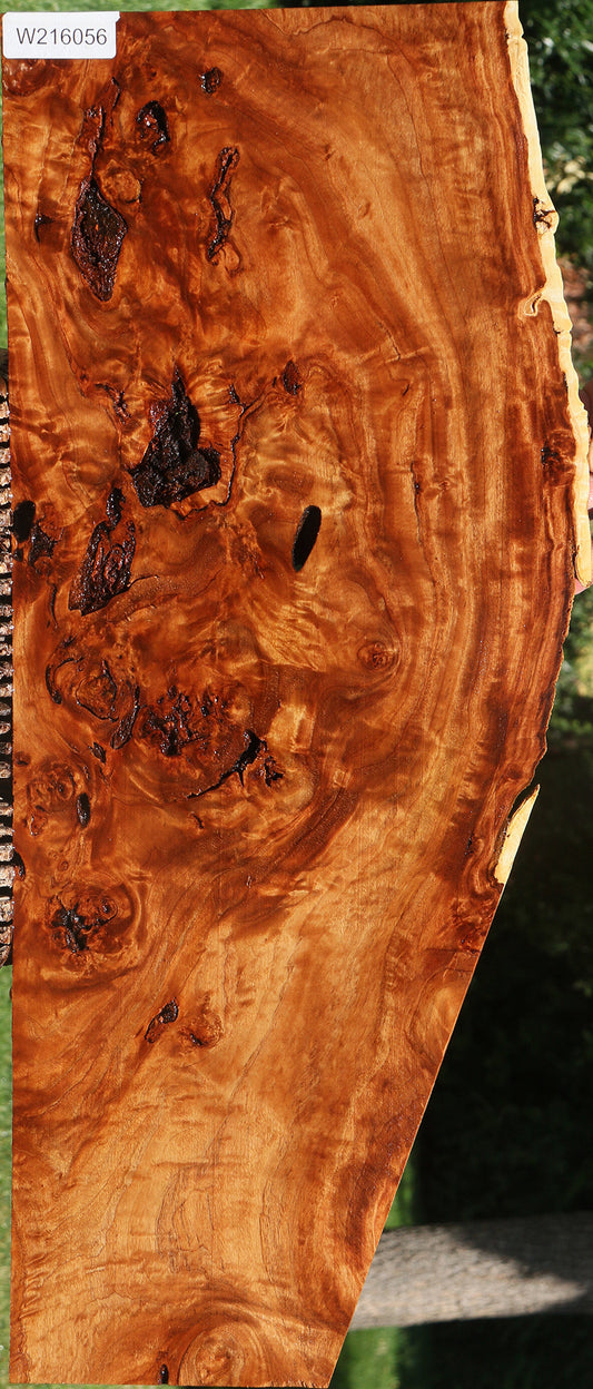 Rustic California Cottonwood Burl Live Edge Lumber