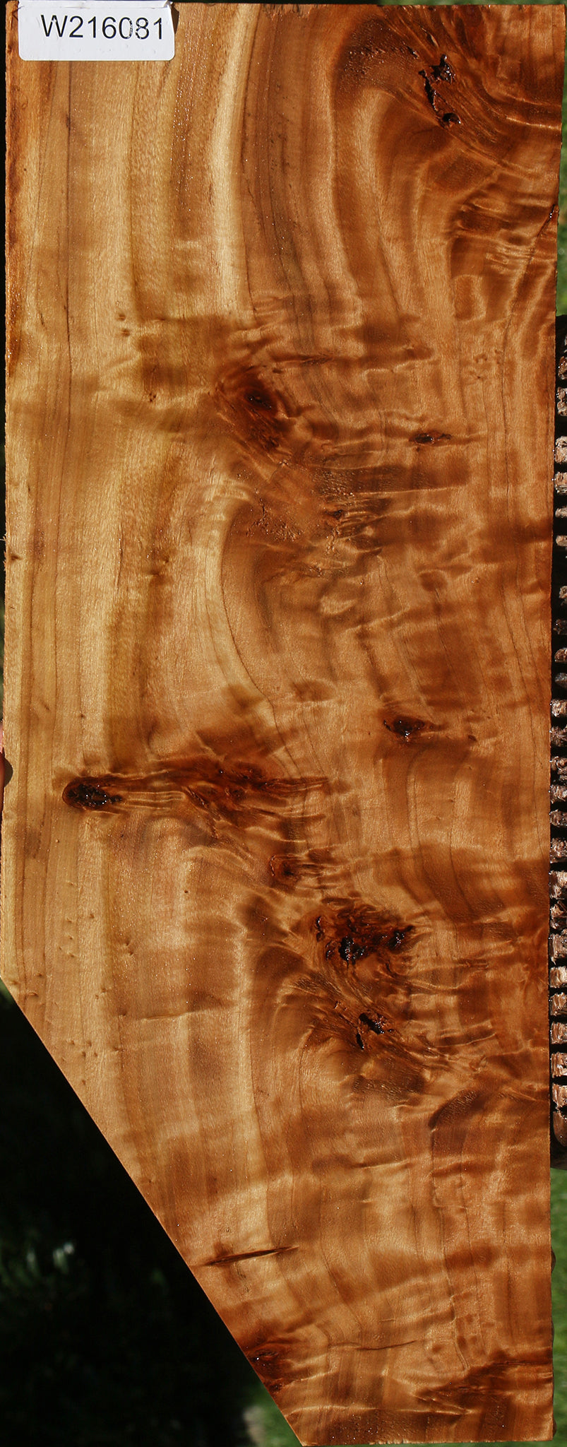 California Cottonwood Burl Micro Lumber