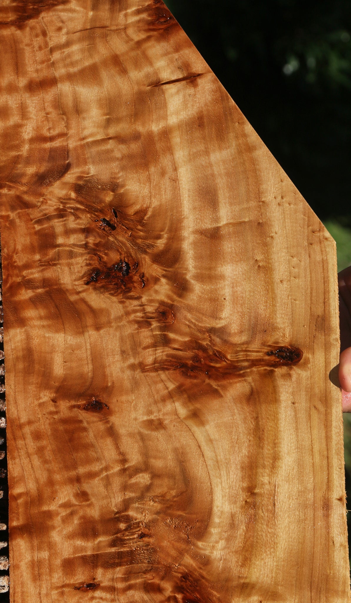 California Cottonwood Burl Micro Lumber