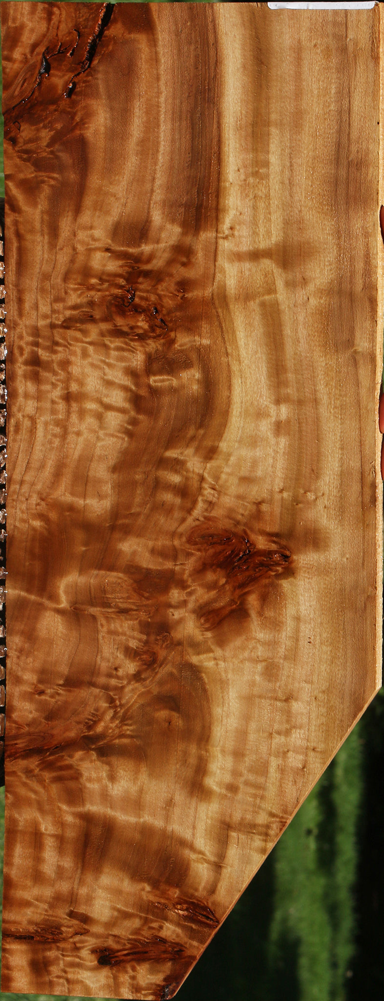 California Cottonwood Burl Micro Lumber