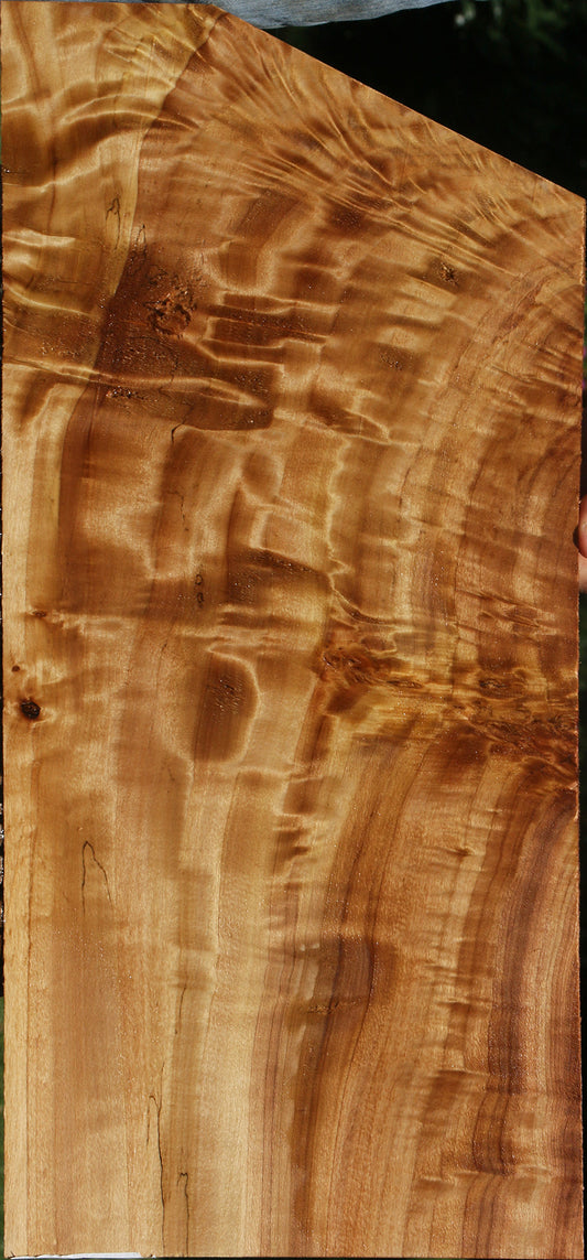 Extra Fancy California Cottonwood Burl Lumber