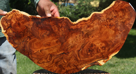 California Cottonwood Burl Cookie