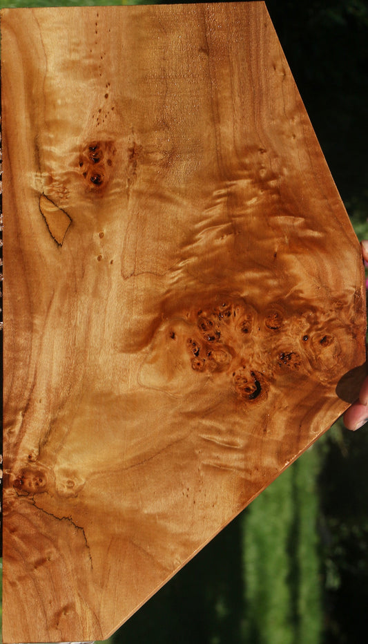 California Cottonwood Burl Lumber