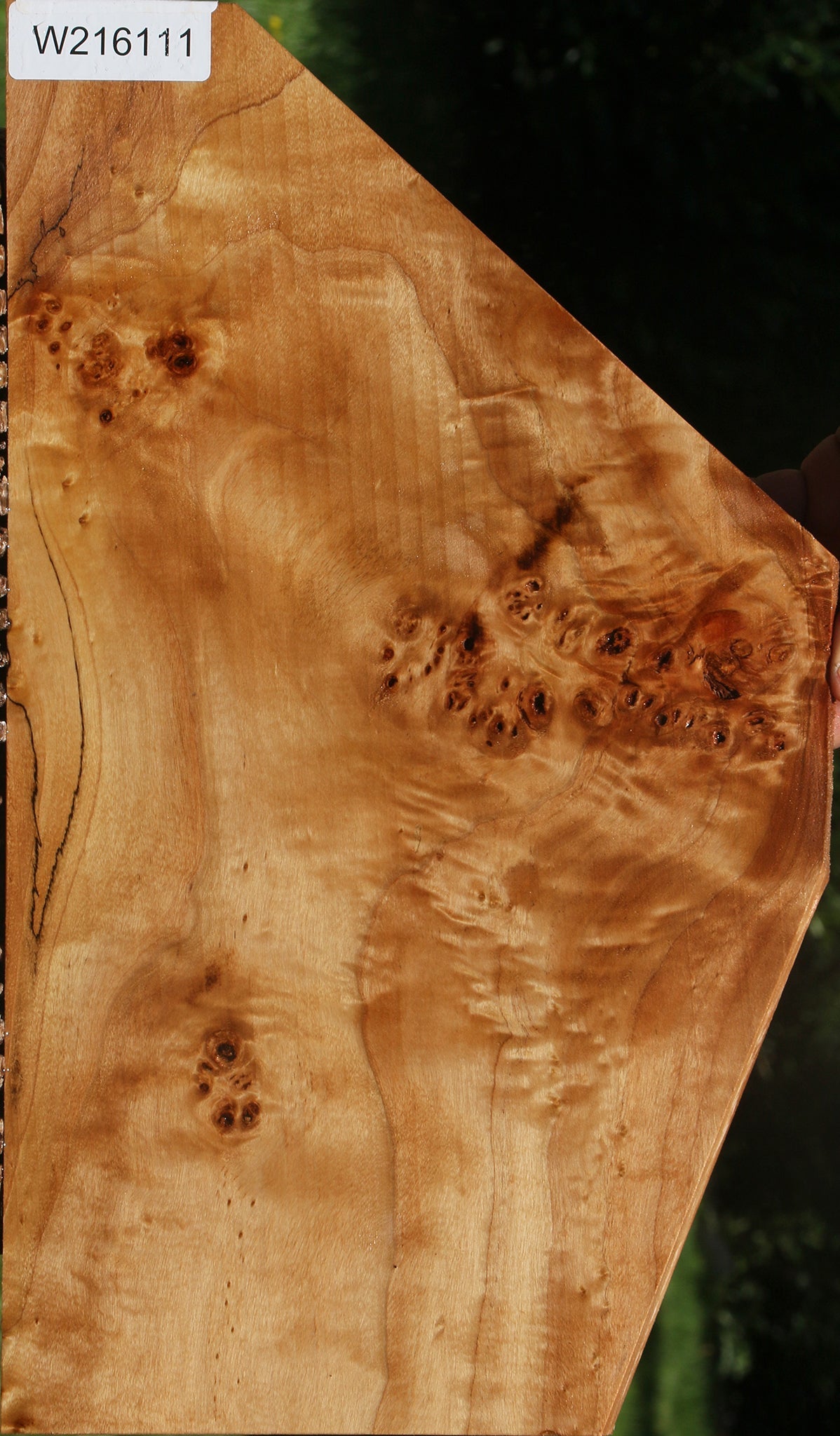 California Cottonwood Burl Lumber