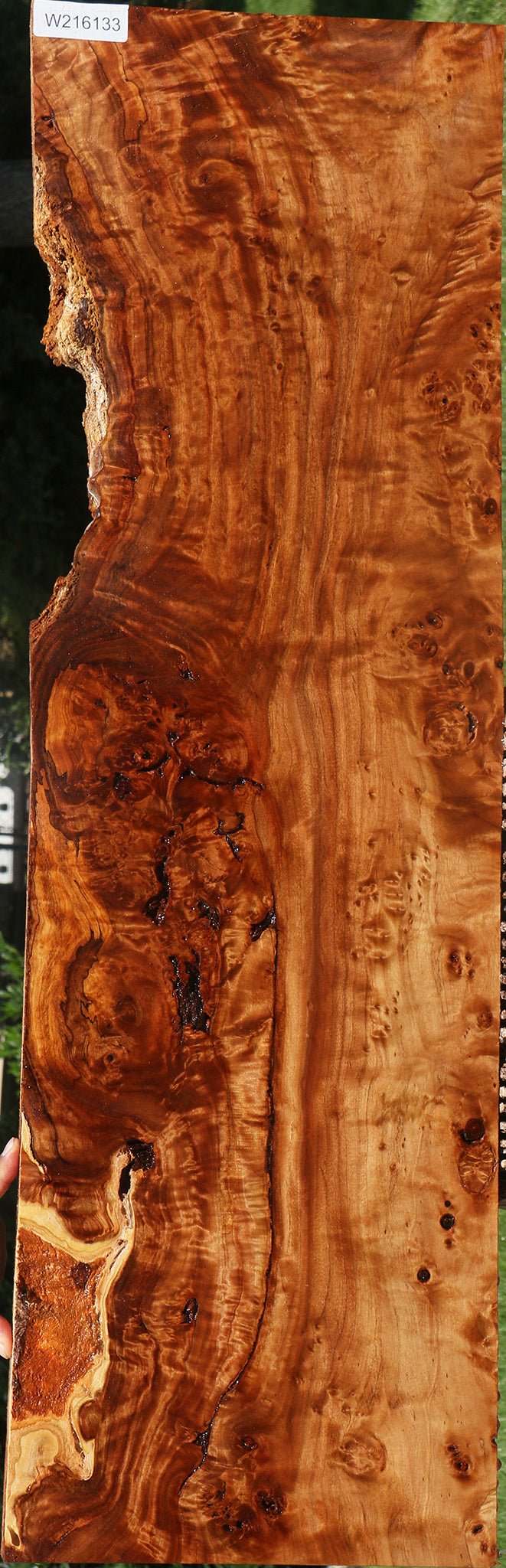 Extra Fancy Rustic California Cottonwood Burl Lumber