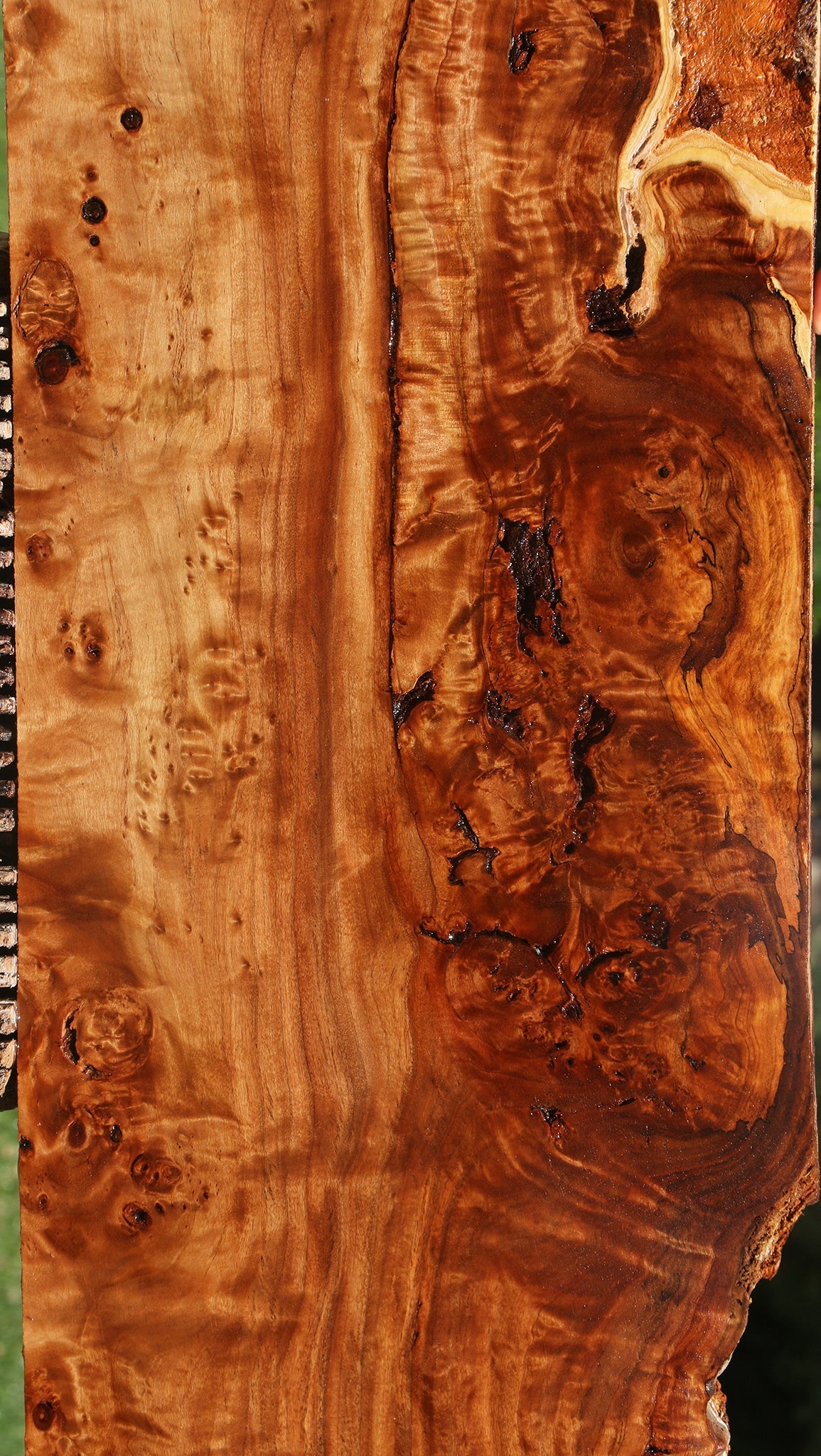 Extra Fancy Rustic California Cottonwood Burl Lumber