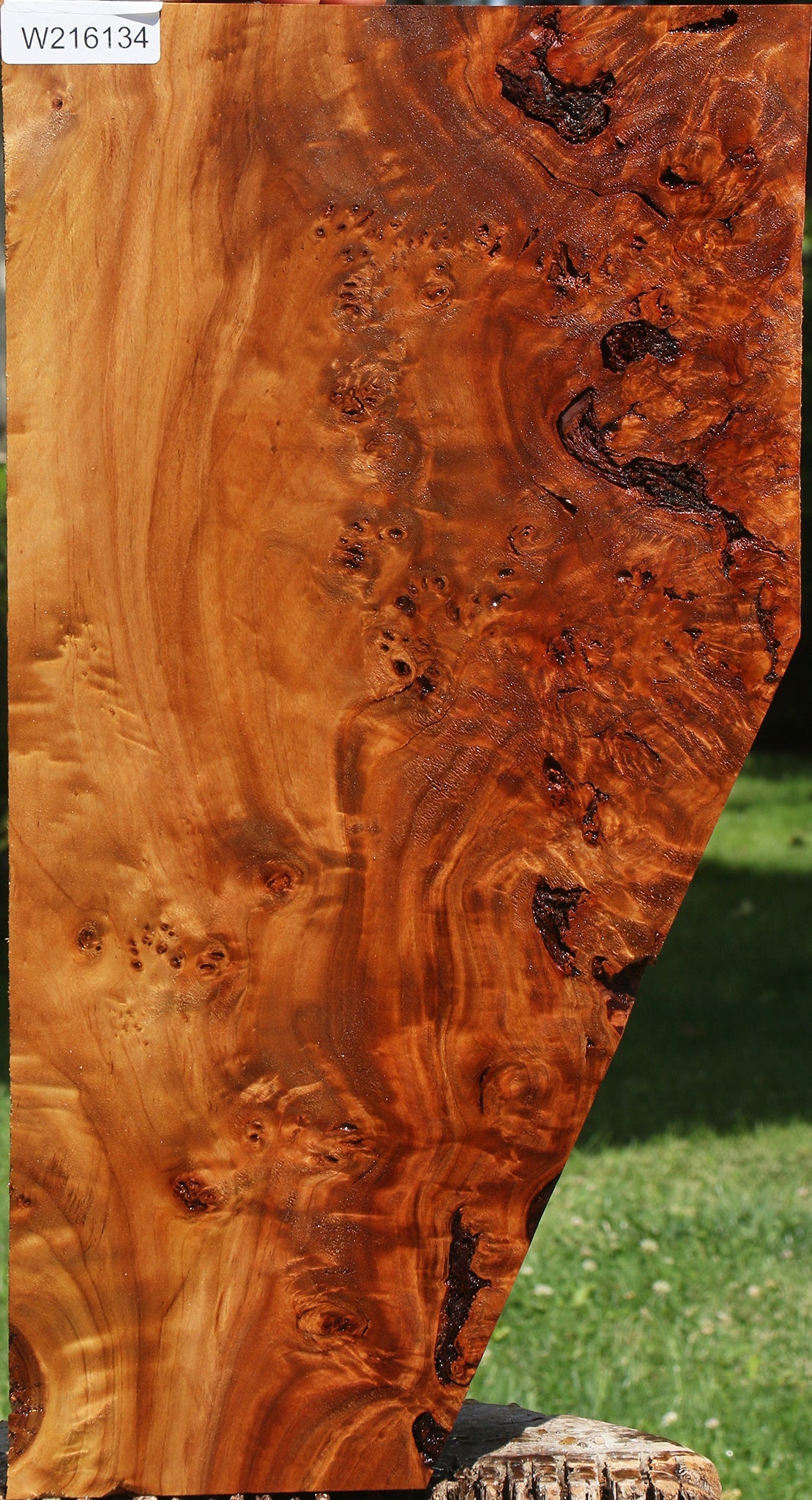 Rustic California Cottonwood Burl Lumber