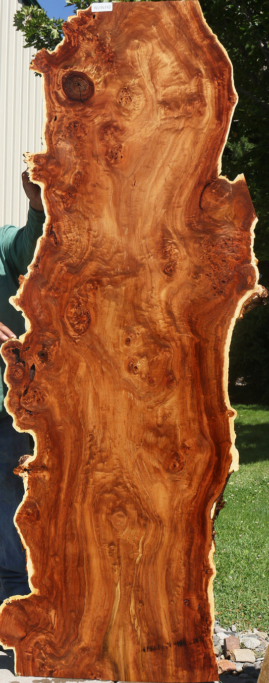 California Cottonwood Burl Live Edge Lumber